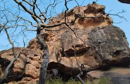 Bhimbetka Caves – Discover the Oldest Art Form of the World