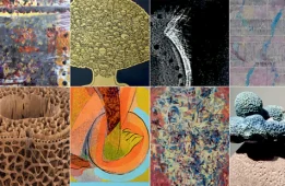 Explore Delhi Art Society’s Latest Group Exhibition ‘Samanvay’- a Celebration of Harmony in Art